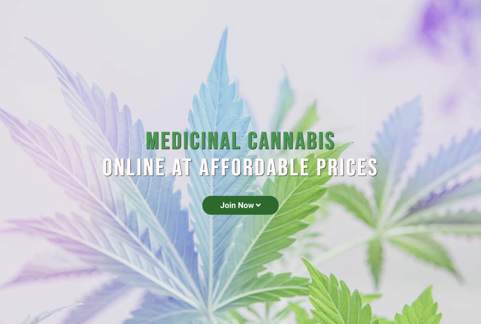 Online Medical Cannabis Dispensary | Be Pain Free Global | Buy Weed Online | Home Of the High Tolerance Concentrates® Brand