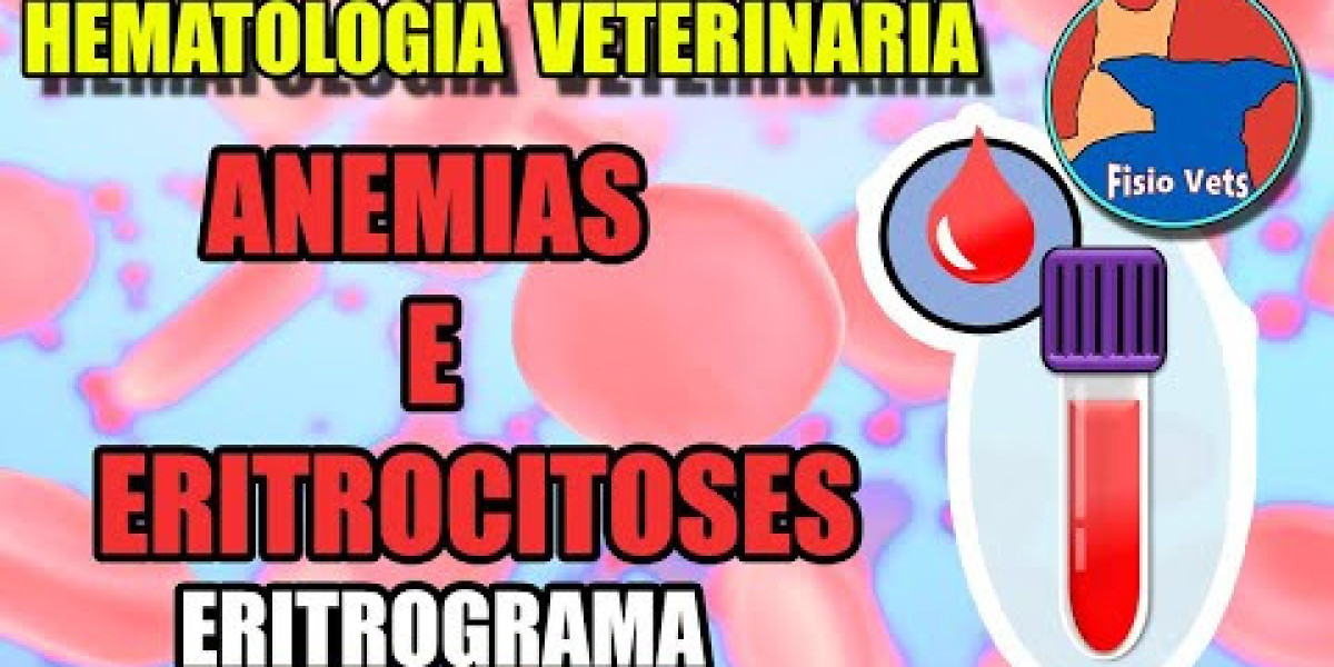 Explorando as Diversas Especialidades da Medicina Veterinária: Cuidando da Saúde dos Nossos Animais